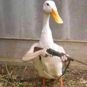 Meet your Posher, Henry